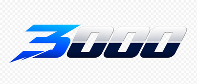 Logo 3000